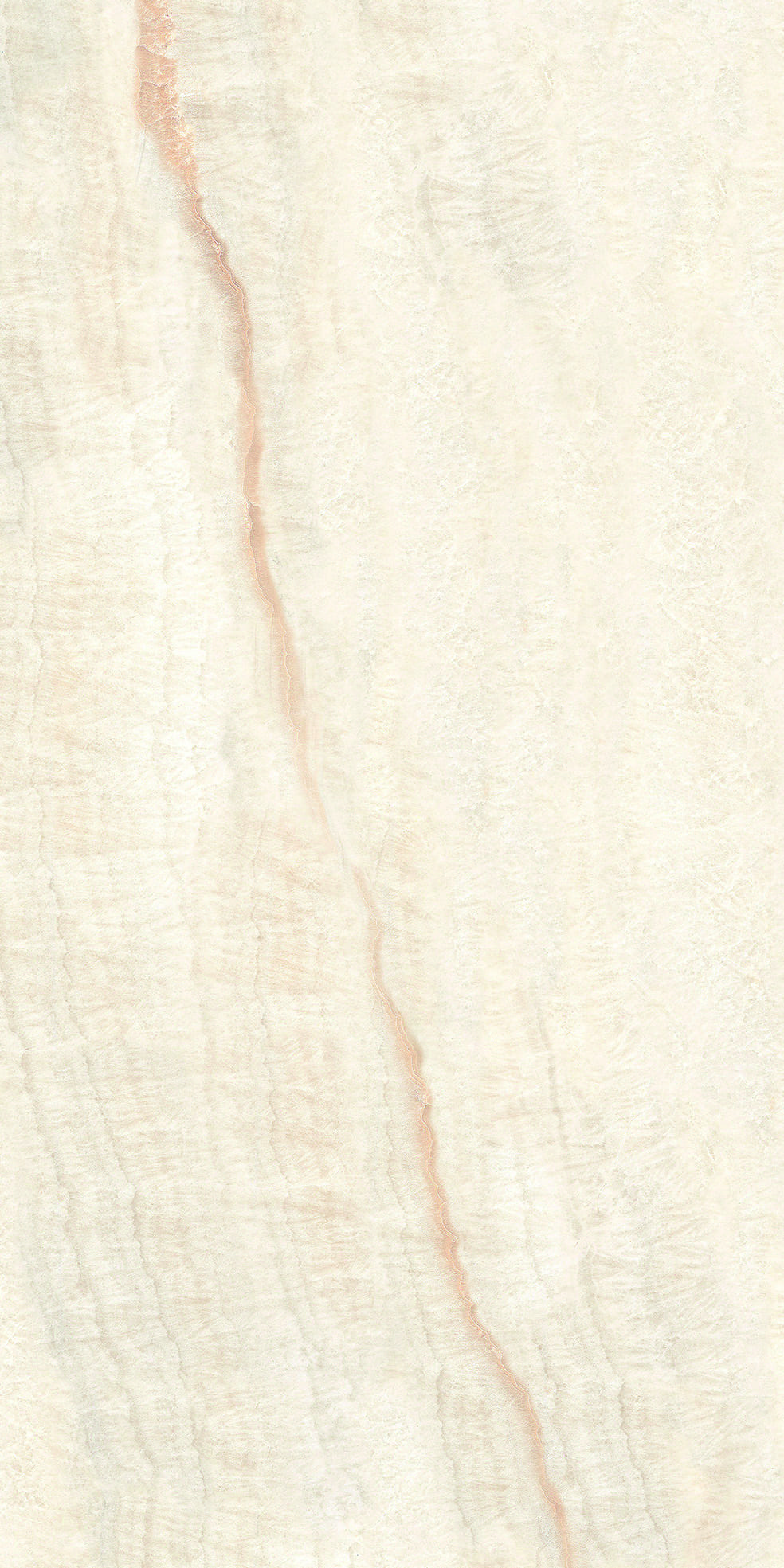 Face 5