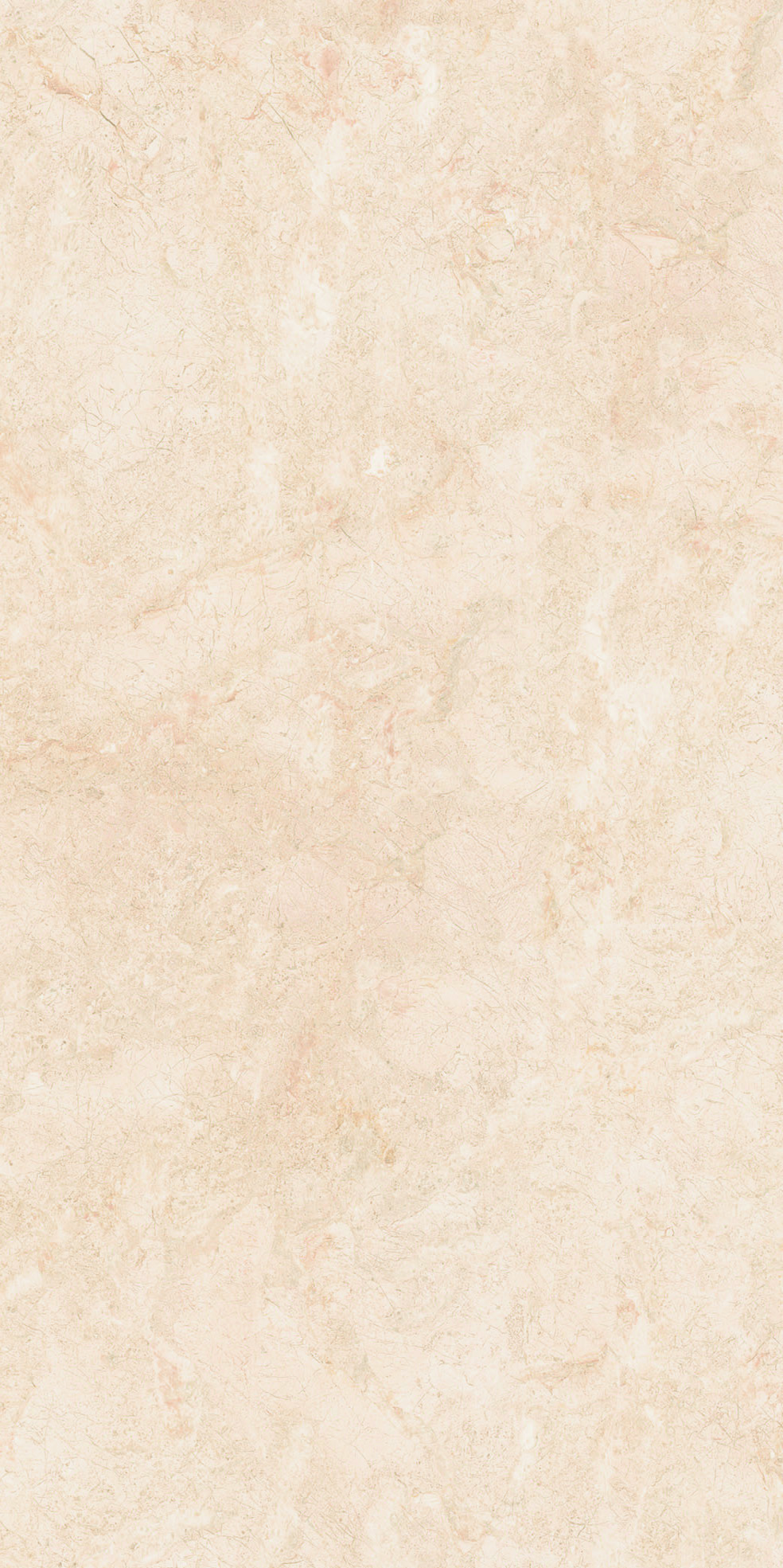 CALIZA PANNA